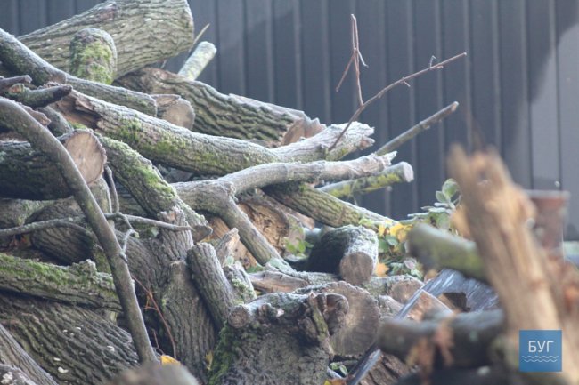 Атмосферні світлини морозного ранку у волинському місті. ФОТО