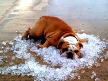 Спека в Україні б’є температурні рекорди