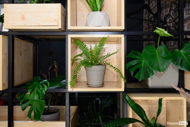 Меблі щасливих людей: волинська компанія BROSKO успішно реалізує унікальні проєкти*