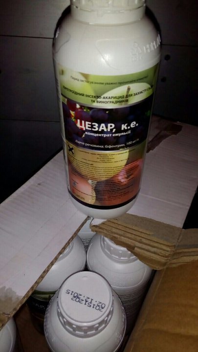 Волинські прикордонники затримали чоловіка з контрабандною «хімією»