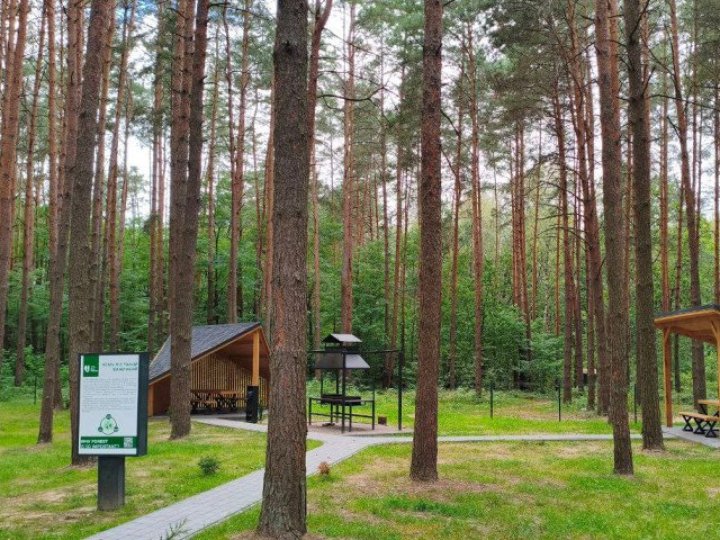На Волині з’явилися два безплатних місця для відпочинку серед лісу