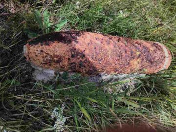 Волинянин під час відпочинку на річці знайшов міну