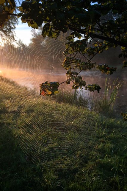 Ранковий Луцьк в об'єктиві місцевої фотографки. ФОТО