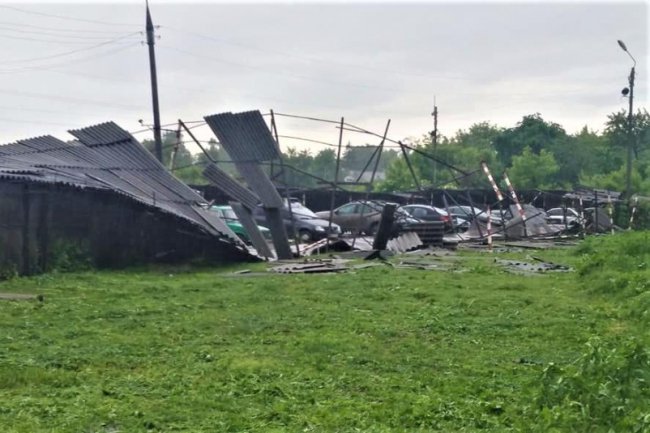 У Сумах буревій повалив дерева на автомобілі та будинки. ФОТО