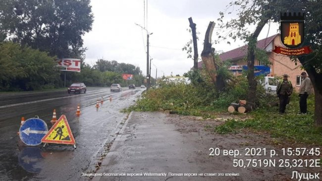 У Луцьку на Набережній незаконно зрізали дерева. ФОТО