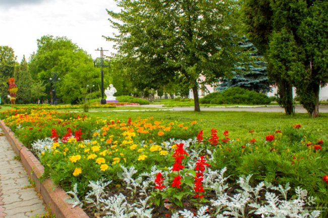 У місті шахтарів на Волині висадили сто тисяч квітів
