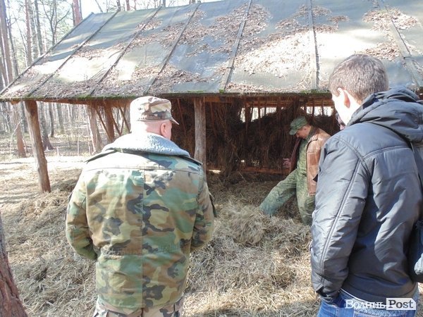 зубрів підгодовують сіном