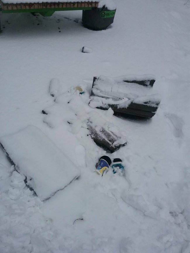 У луцькому парку розтрощили смітник. ФОТО