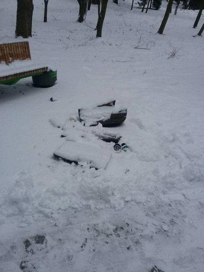 У луцькому парку розтрощили смітник. ФОТО