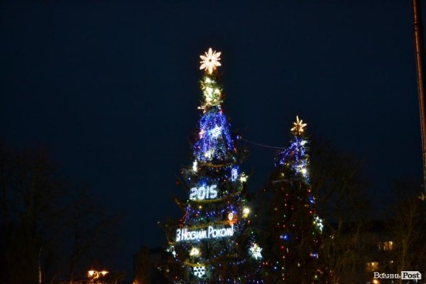 Лучани у День Cвятого Миколая «запалили» cвяткові ялинки. ФОТО