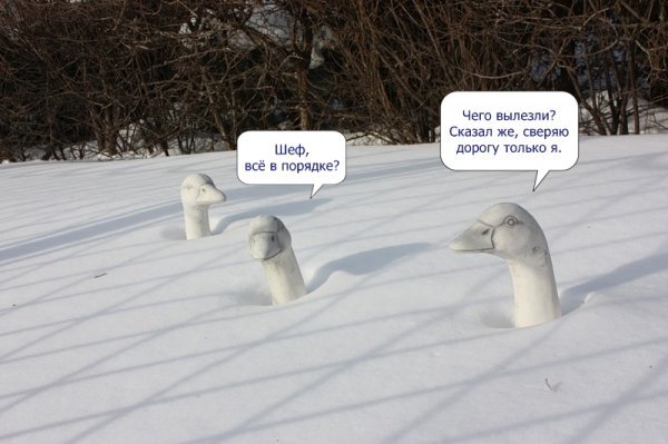 Сніг і сміх: інтернет знову жартує