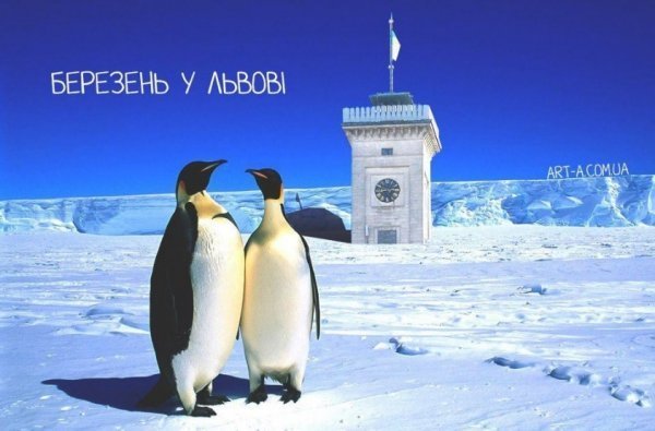 Сніг і сміх: інтернет знову жартує