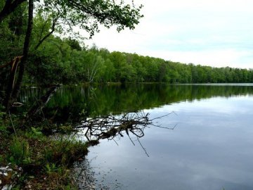 Повідомили, скільки Волинь «заробляє» на водних об’єктах