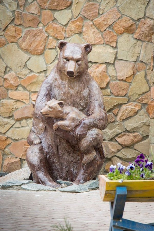 У Луцькому зоопарку можна сфотографуватись з левами та ведмедями. ФОТО 