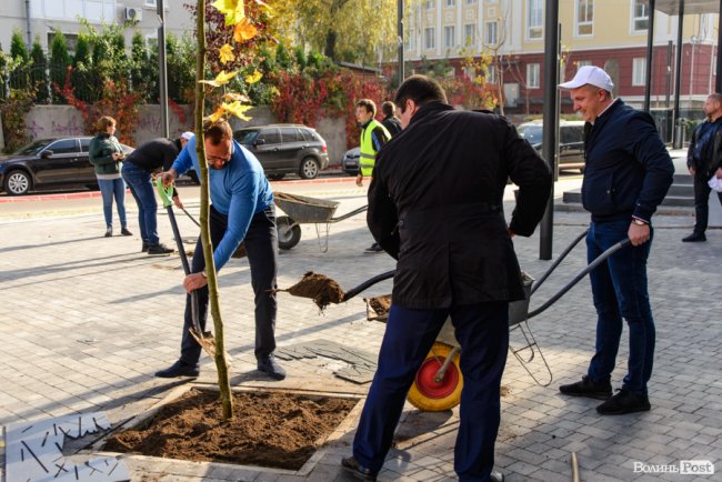 Сучасний оазис посеред міста: у новому сквері в центрі Луцька висадили клени та сливи