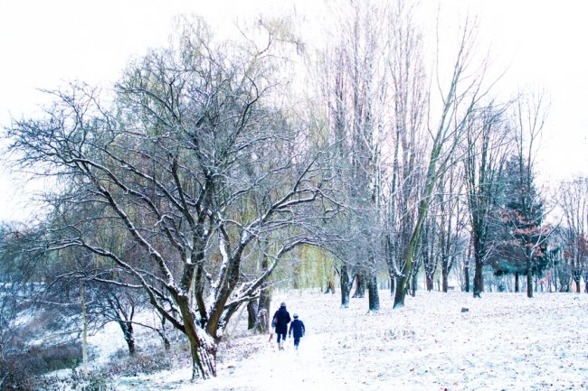 Парк 900-річчя Луцька під першим снігом. ФОТО