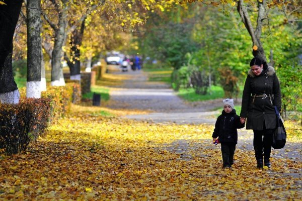 Осінній Луцьк. ФОТО
