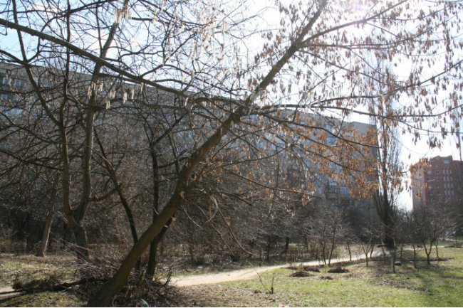 У Луцьку на Соборності прибиратимуть сквер від сміття