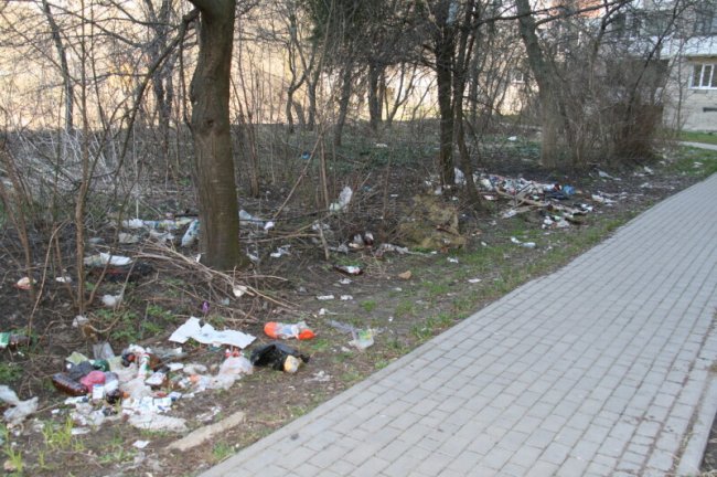 У Луцьку на Соборності прибиратимуть сквер від сміття