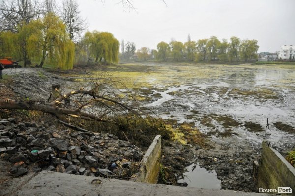 Як чистять ставки в Теремно. ФОТО