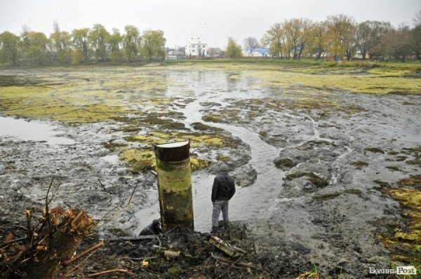 Як чистять ставки в Теремно. ФОТО