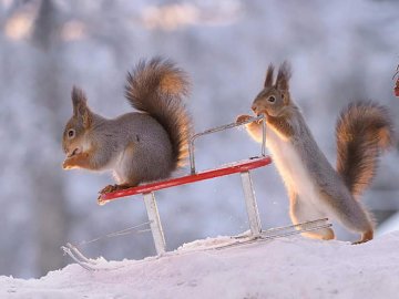 Погода у Луцьку та Волинській області на завтра, 2 лютого