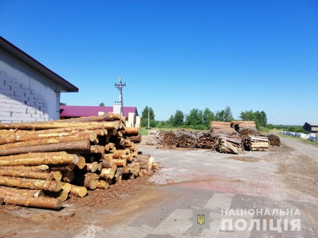 На Камінь-Каширщині – масштабні обшуки: вилучили сотні кубів незаконної деревини. ФОТО