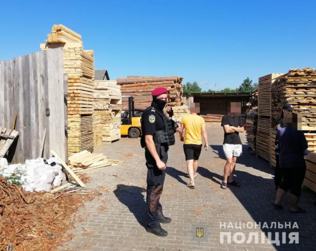 На Камінь-Каширщині – масштабні обшуки: вилучили сотні кубів незаконної деревини. ФОТО