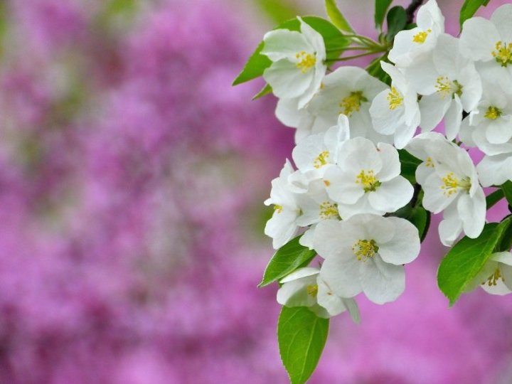 16 квітня на Волині: гортаючи календар