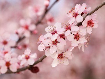 Погода в Луцьку та Волинській області на п'ятницю, 23 квітня