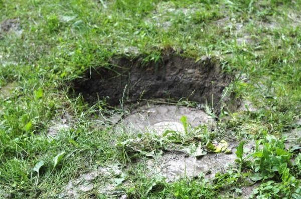 Мешканці багатоповерхівки скаржаться на комунальників, які зруйнували квітник. ФОТО