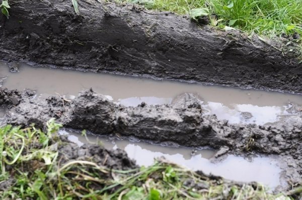 Мешканці багатоповерхівки скаржаться на комунальників, які зруйнували квітник. ФОТО