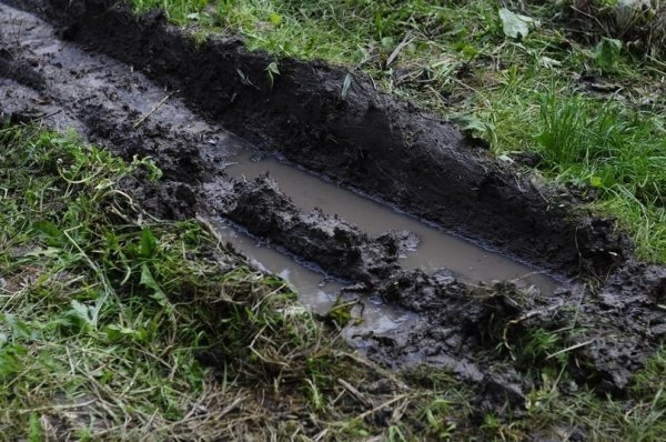 Мешканці багатоповерхівки скаржаться на комунальників, які зруйнували квітник. ФОТО