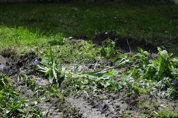 Мешканці багатоповерхівки скаржаться на комунальників, які зруйнували квітник. ФОТО