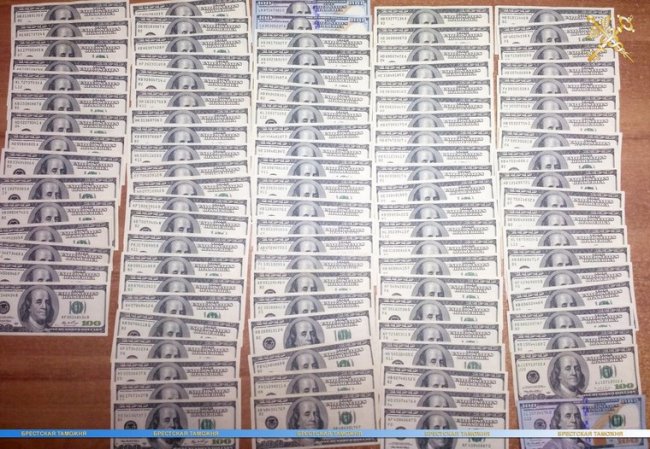 Волинські правоохоронці прогледіли валізу валюти на кордоні