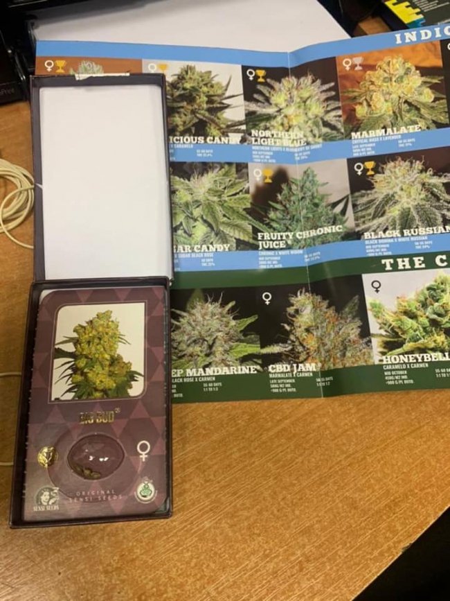 На «Ягодині» у авто знайшли декілька ящиків з насінням коноплі вартістю понад 1 мільйон. ФОТО