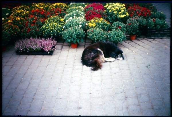 Фотовиставка Юлії Ткаченко