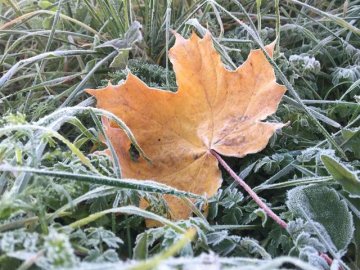 В Україну йде різке похолодання із заморозками