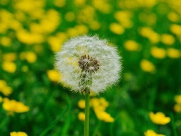 Погода у Луцьку на завтра, 28 травня