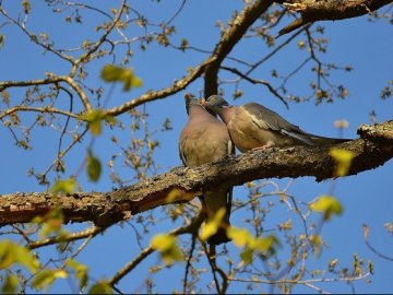 Якою буде погода на вихідні, 6 та 7 квітня