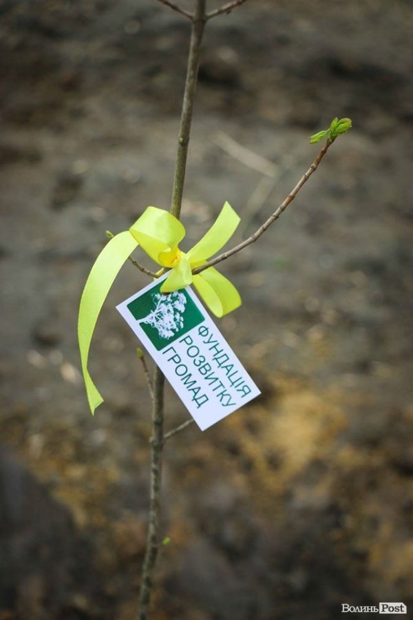 Луцький зоопарк став ще зеленішим. ФОТО