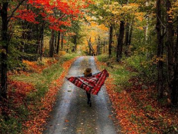 Погода в Луцьку та Волинській області на вихідні, 7 і 8 листопада