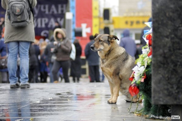 Четвертий день страйку в Луцьку. ФОТО. ВІДЕО
