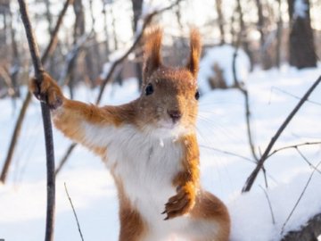 Погода у Луцьку та Волинській області на завтра, 13 грудня