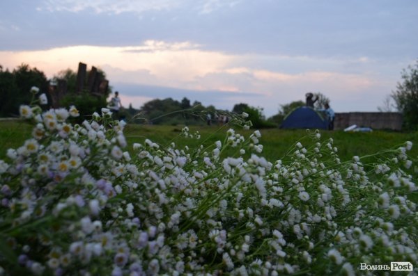Як у Луцьку святкували Купала. ФОТО