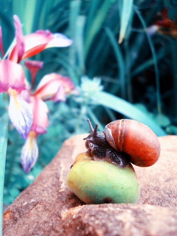 Фотовиставка Валентини Жуги