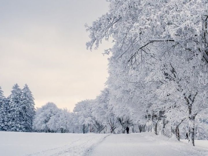 Якою буде погода у четвер, 15 січня, у Луцьку та на Волині