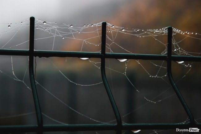 Туманний Луцьк: неймовірні фото 