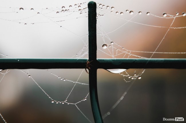 Туманний Луцьк: неймовірні фото 