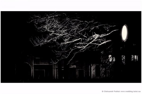 Фотовиставка Олександра Федюка. ФОТО